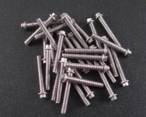 M2 x 14mm Scale Hex Bolts (30) SS